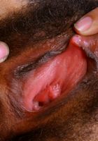 ATK Exotics: Eunique (Eunique in black women)