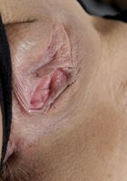 ATK Exotics: Eva (Eva in latinas)