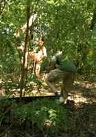 ATK Premium: Eva (Eva in behind the scenes)