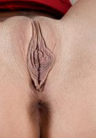 ATK Galleria: Evelin Stone (Evelin Stone in footfetish)