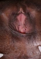 Evi Rei from ATK Exotics