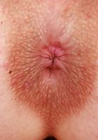 ATK Galleria: Evie Christian (Evie Christian Dressed to Thrill)