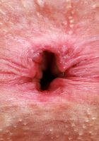 ATK Galleria: Evie Christian (Evie Christian Dressed to Thrill)