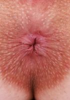 ATK Petites: Evie Christian (Evie Christian showing a little pink and brown)