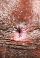 ATK Exotics: Fae Love (It's all about the see-through lingerie for Fae Love)