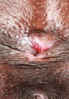 ATK Petites: Fae Love (Slender exotic babe Fae Love really shows it off)