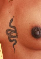 ATK Exotics: Fae Love (Fae Love Hot Indian Sizzle)