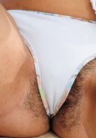 ATK Exotics: Faustina (Faustina in latinas)