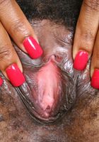 Felicia from ATK Exotics