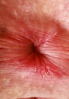 ATK Galleria: Fiona Sprouts (Fiona Peaches looks playful in yellow)