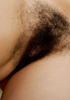 ATK Archives: Frankie (Frankie in)