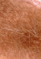 ATK Archives: Friede (Friede in lesbian)