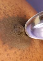 ATK Exotics: Fushia (Fushia in toys)