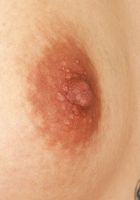 ATK Petites: Gemma Naya (Gemma Naya Lingerie Spreads)