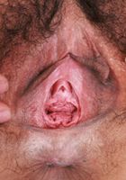 ATK Natural & Hairy: Gemma Naya (Gemma Naya Lingerie)