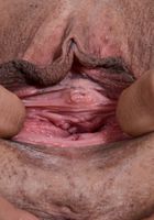 ATK Exotics: Gia Vendetti (Gia Vendetti in latinas)