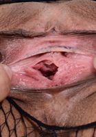 ATK Exotics: Gia Vendetti (Gia Vendetti in latinas)