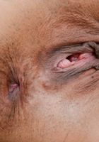 ATK Exotics: Gia Vendetti (Gia Vendetti in latinas)