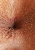 ATK Exotics: Gia Dibella (Gia Dibella Strips and Spreads)