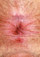 ATK Natural & Hairy: Gigi (Gigi Little Bunny and Watersports)