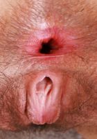 ATK Natural & Hairy: Gigi (Gigi Hairy Pussy Spreading Ass Gaping)