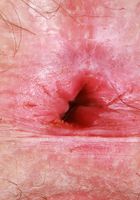 ATK Natural & Hairy: Gigi (Gigi Black Skirt & Spreading)