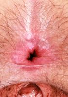 ATK Natural & Hairy: Gigi (Gigi's set checks all the boxes)