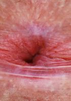 ATK Galleria: Gigi (Gigi Outdoor Nudity)