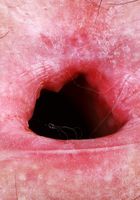 ATK Natural & Hairy: Gigi (Gigi Strips and Spreads)