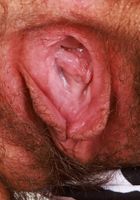 ATK Natural & Hairy: Gigi (Gigi strips nude outdoors)