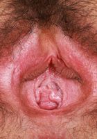 ATK Natural & Hairy: Gigi (Gigi Hairy Pussy and Ass Gaping)