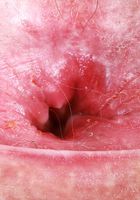 ATK Natural & Hairy: Gigi (Gigi Lingerie Strip & Gaping)