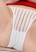 ATK Archives: Ginger (Ginger in)