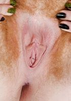 ATK Archives: Grace (Grace in)