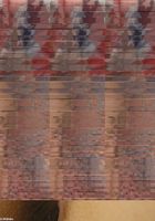 Gwen from ATK Exotics