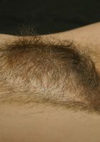 ATK Exotics: Hali (Hali in dime pieces)