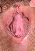 ATK Natural & Hairy: Harley Hex (Harley Hex in scary hairy)