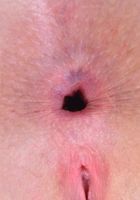 ATK Galleria: Harley Jade (Harley Jade looks lovely in white)