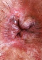 ATK Exotics: Hazel Heart (Hazel Heart being her cute little self)