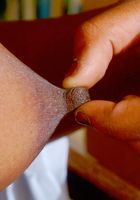 Heaven from ATK Exotics