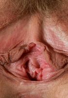 Heidi Hanson from ATK Natural & Hairy