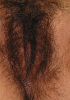 ATK Natural & Hairy: Holly (Holly in exotic and hairy)