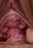 ATK Exotics: Holly Hendrix (Holly Hendrix in dime pieces)