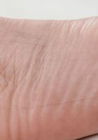 ATK Exotics: Holly Hendrix (Holly Hendrix in footfetish)