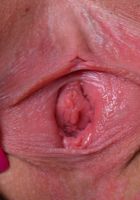 ATK Exotics: Holly Hendrix (Holly Hendrix squeezes those firm boobies together)