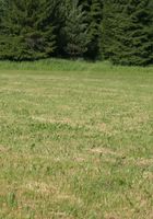 ATK Premium: Irena (Irena in solo)