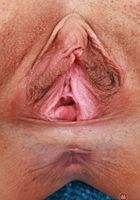 ATK Exotics: Isabella Nice (Isabella Nice Pink Lingerie)