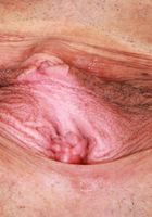 ATK Exotics: Isabella Nice (Isabella Nice Sexy Outfit Strip)