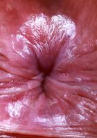 Isabella Jules from ATK Exotics