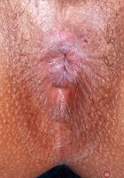 ATK Petites: Isabella Jules (Isabella Jules in latinas)